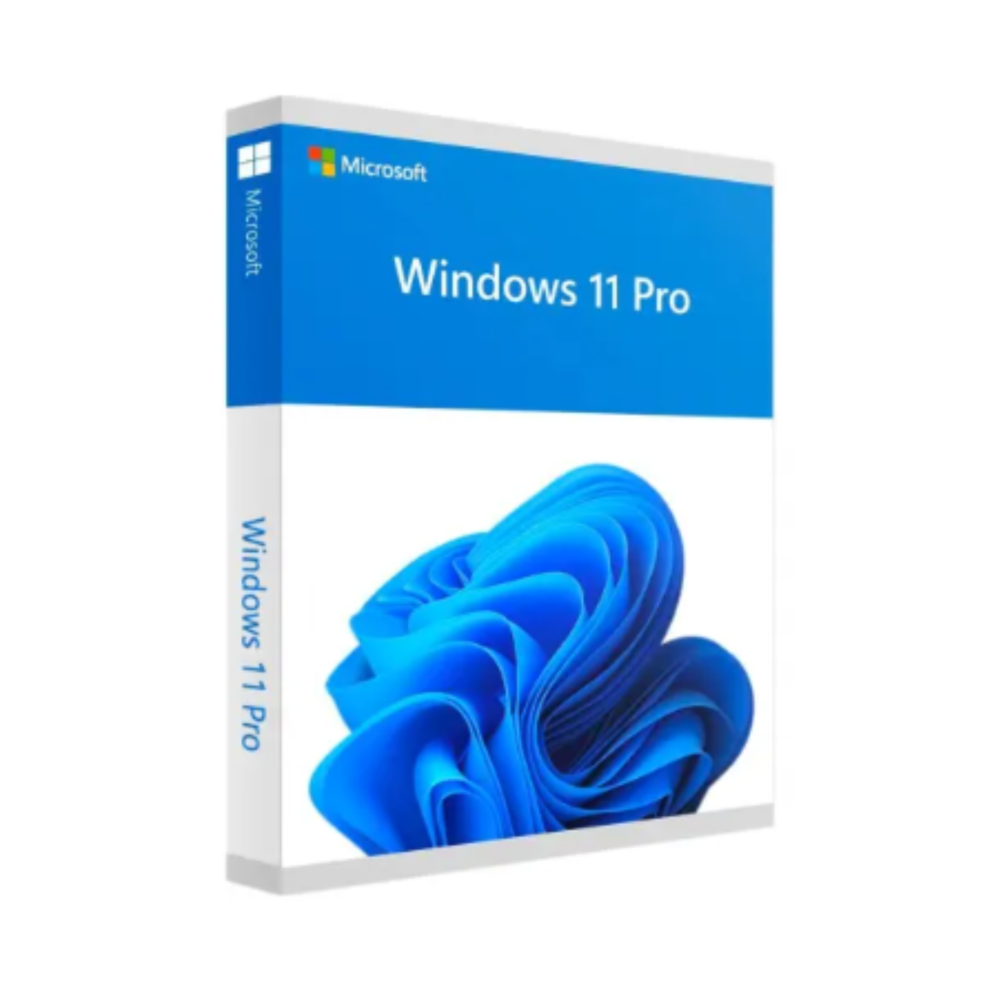 Microsoft Windows 11 Professional License Key